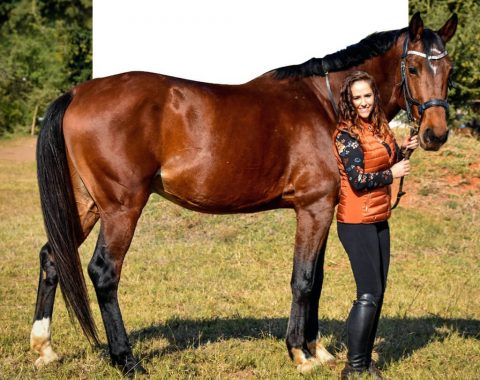 Nericha Powroznik’s stallion, The Burgh’s Chronos