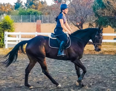 Caitlin Goss’ new horse, Samurai Jack