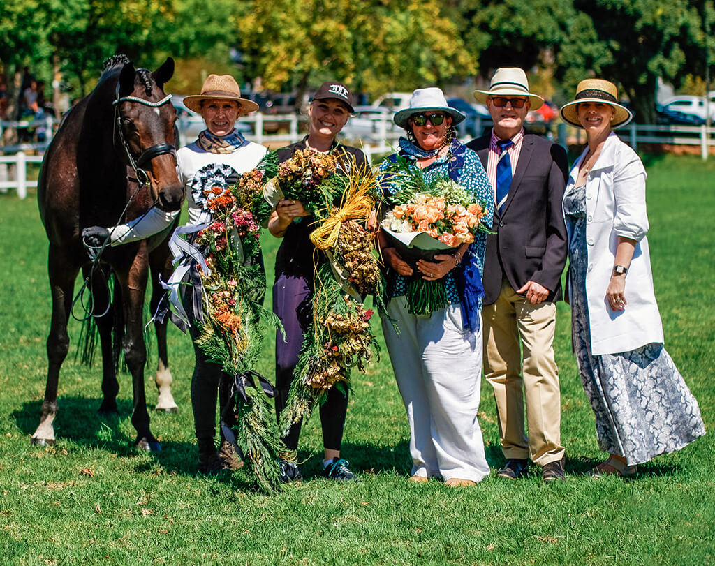 Show report - Western Cape Young Horse Performance Series