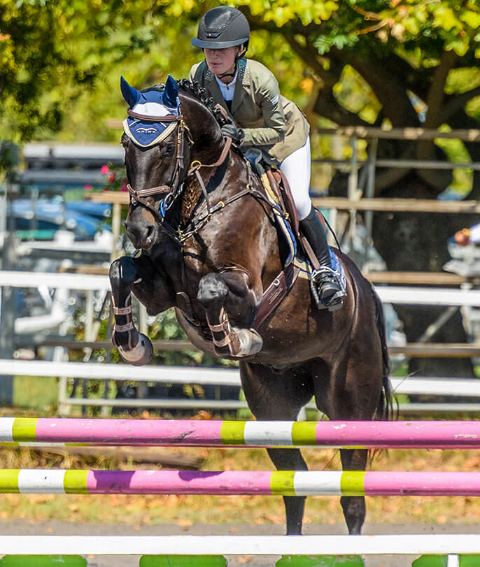 Show report - Western Cape Young Horse Performance Series