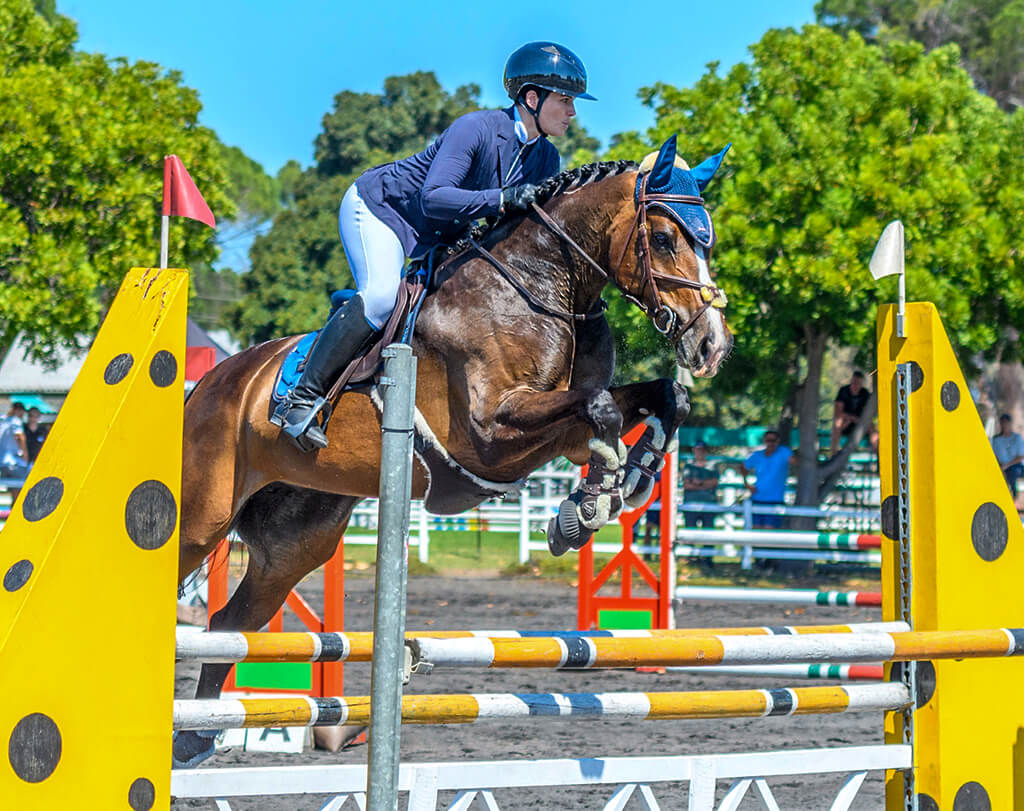 Show report - Western Cape Young Horse Performance Series