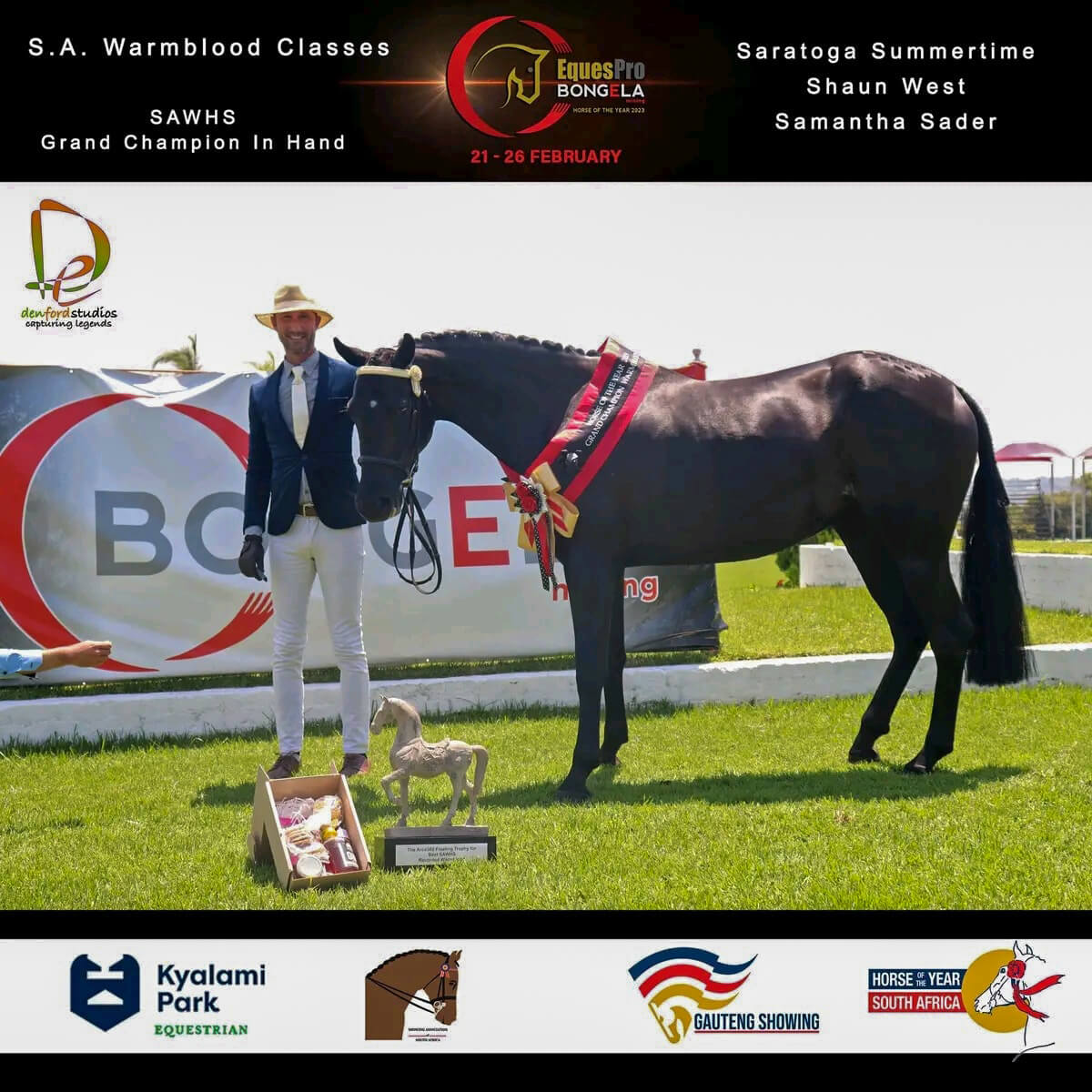 Warmblood Horse Society