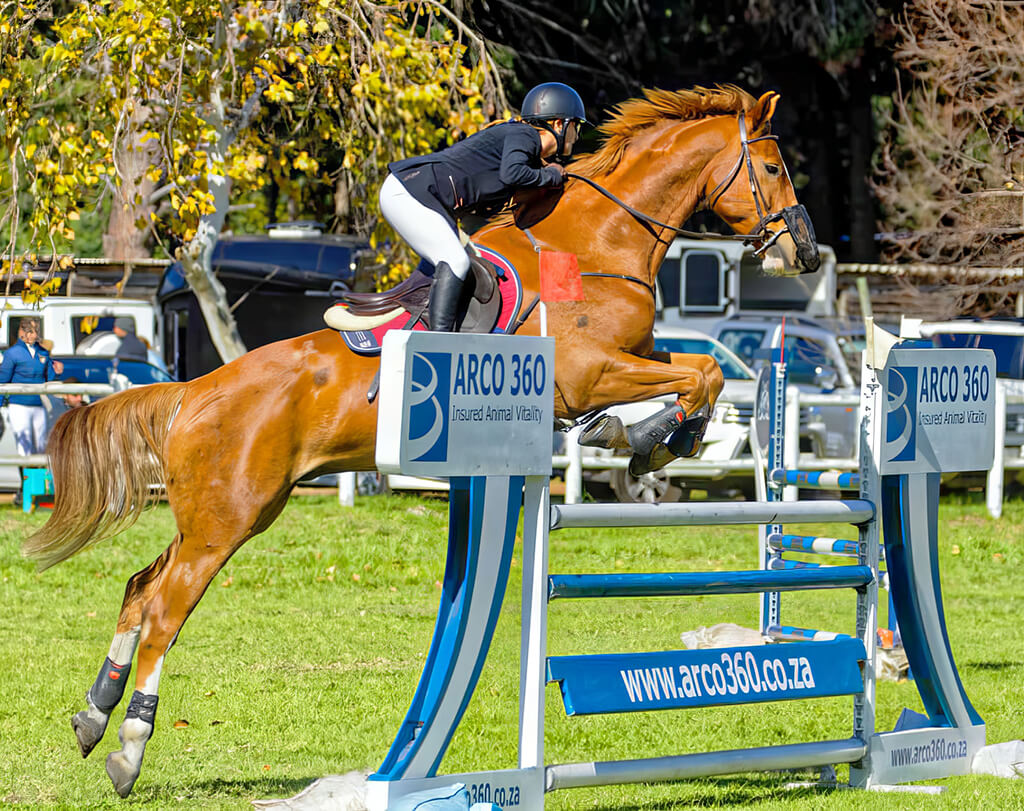 Stellenbosch District Riding Club