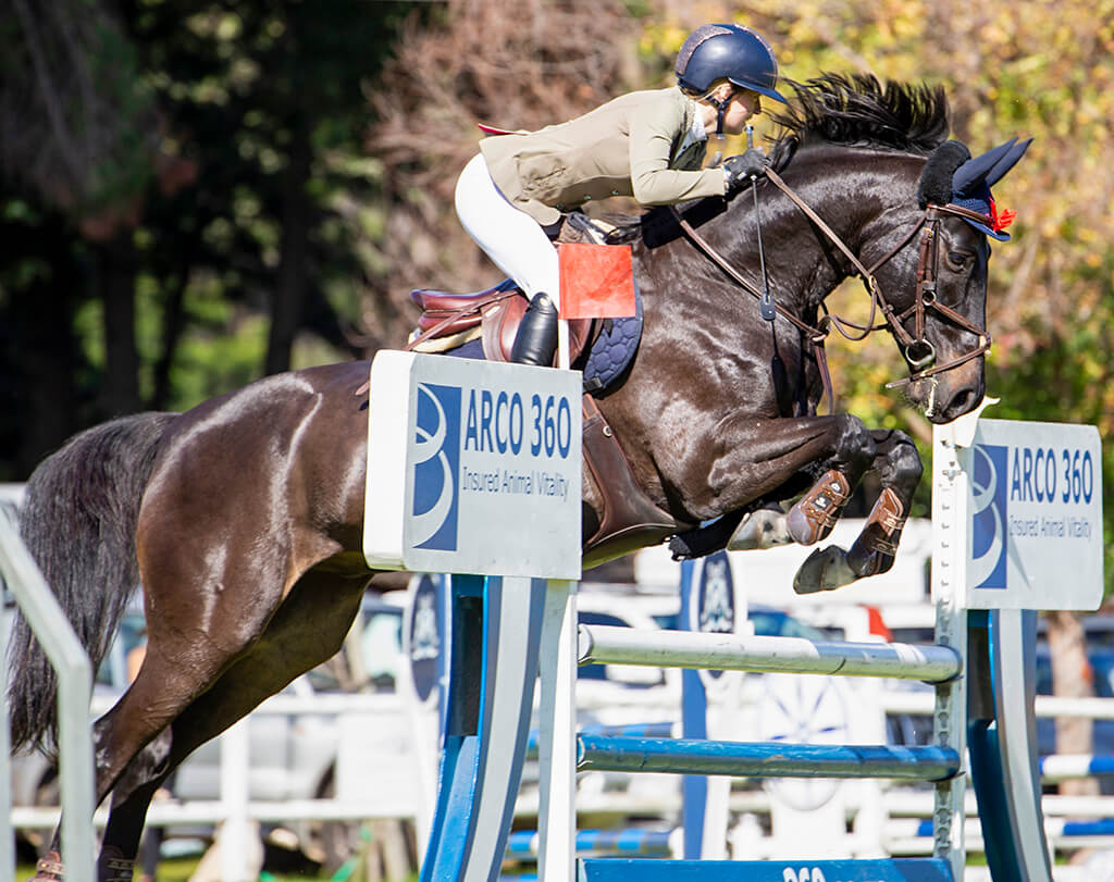 Stellenbosch District Riding Club