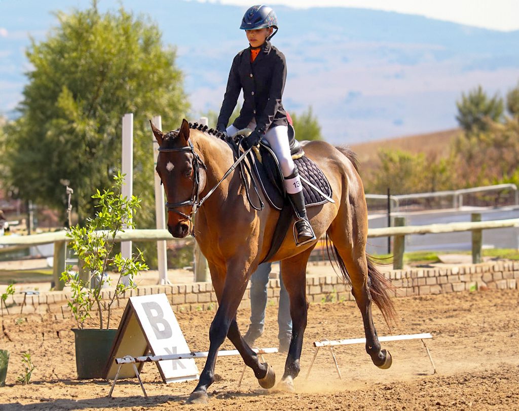 Brand Ambassador: Bea-Ann Ehlers